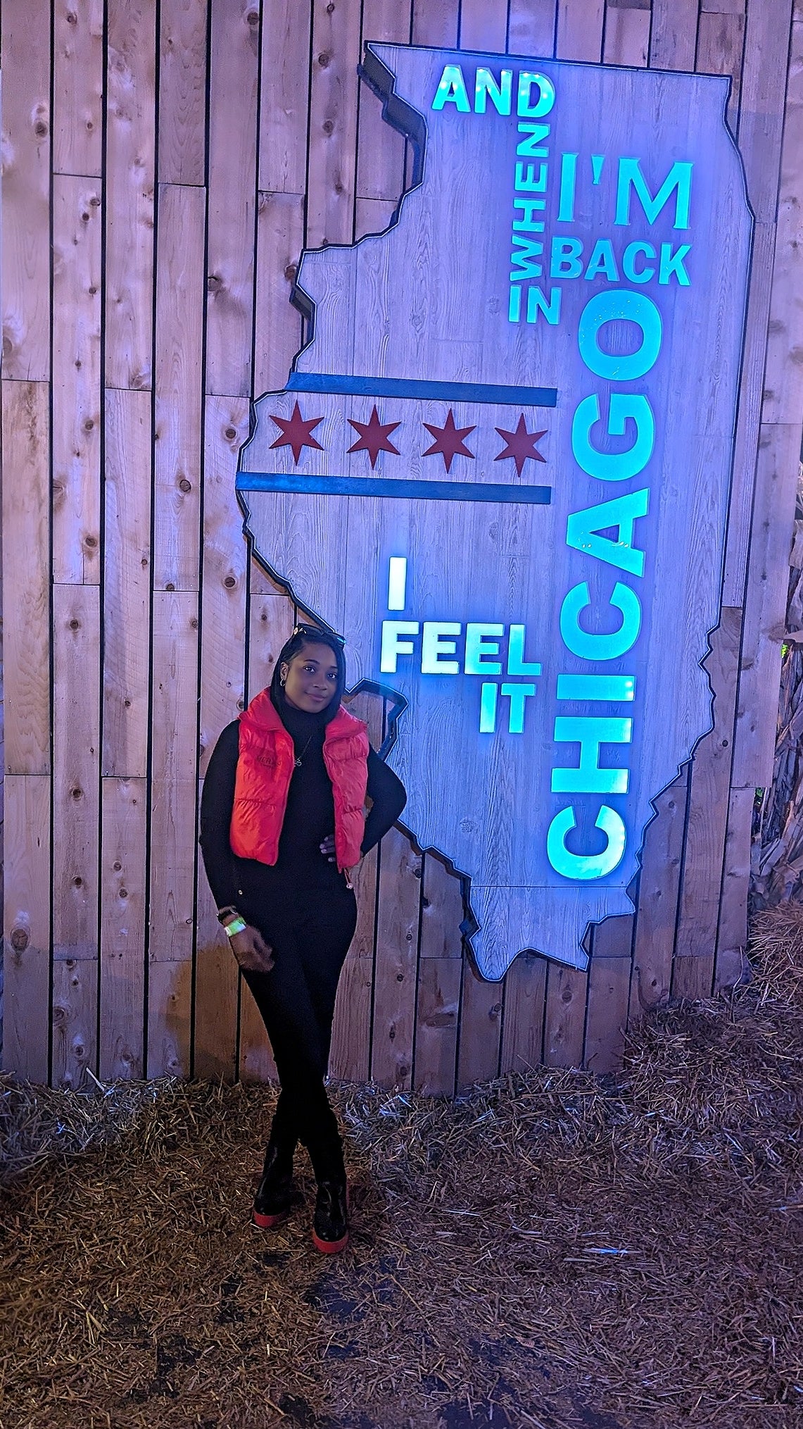Chi Cropped Puffer Vest